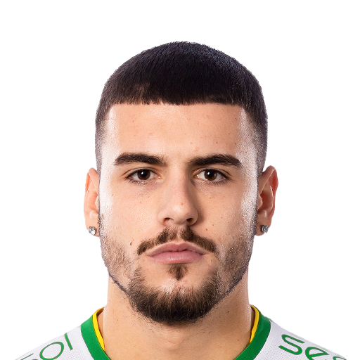 FC 26 Edvin Kurtulus Face