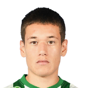 FC 26 Damir Redzic Face