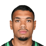 FC 26 Ruan Face
