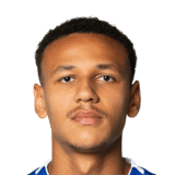 FC 26 Luca Jaquez Face