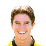 FC 26 Harry Kewell Face