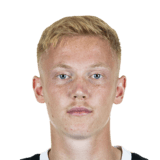 FC 26 Hugo Larsson Face