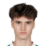 FC 26 Nikolas Sattlberger Face