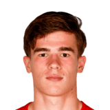 FC 26 Wouter Goes Face