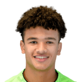 FC 26 Pierce Charles Face
