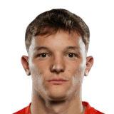 FC 26 Mauro Perkovic Face