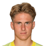 FC 26 Harald Postl Face