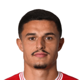FC 26 Elmin Rastoder Face