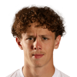 FC 26 Phoenix Scholtz Face