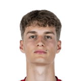 FC 26 Luca Raimund Face