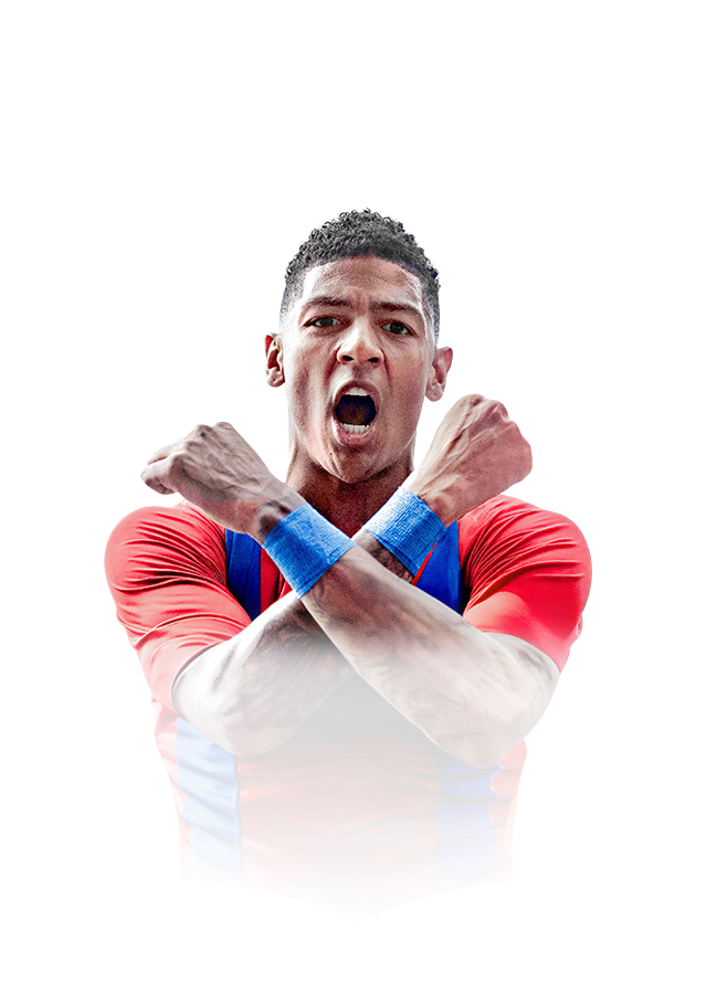 FC 26  Aanholt Face
