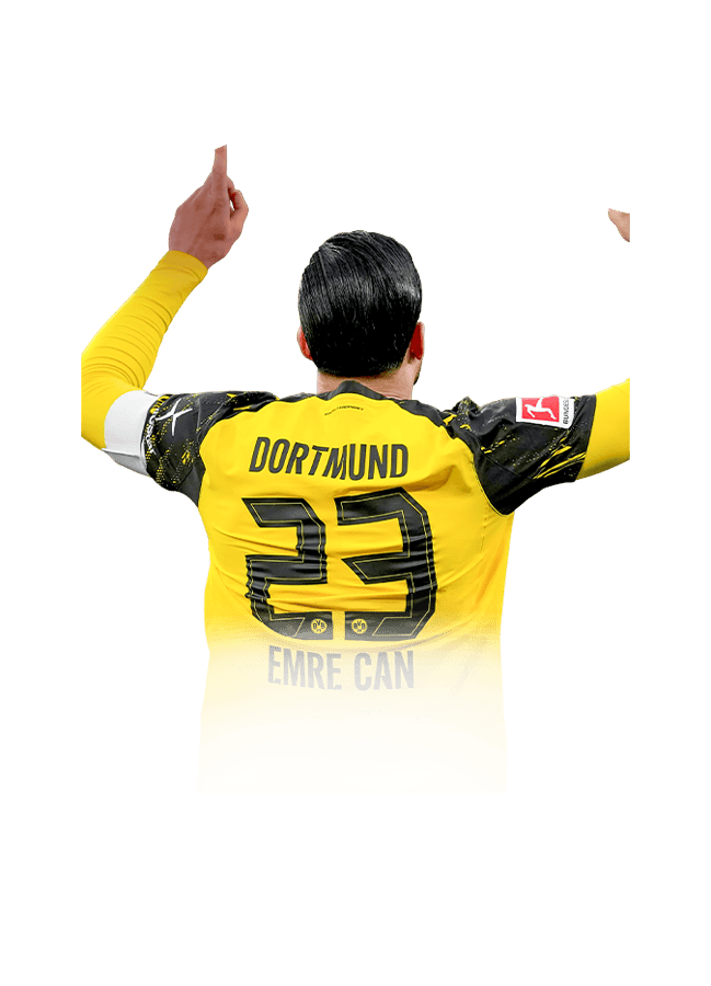 FC 26 Can Face