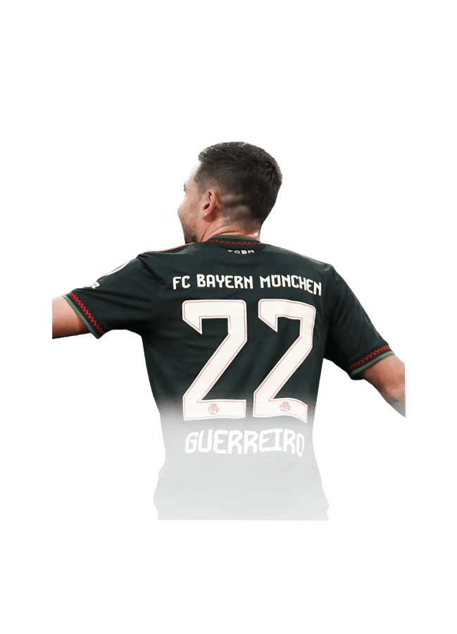 FC 26 Guerreiro Face