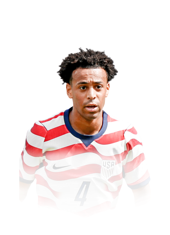 FC 26 Adams Face
