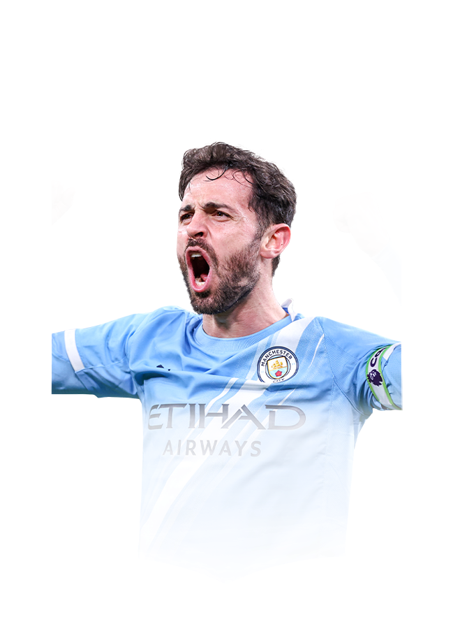 FC 26  Silva Face
