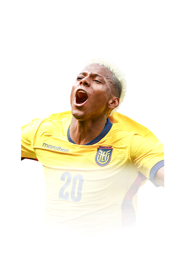 FC 26 Angulo Face
