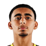 FC 26 Taha Habroune Face