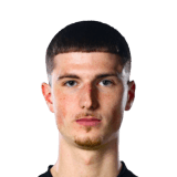 FC 26 Nikola Zecevic Face