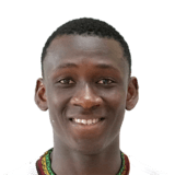 FC 26 Mamadou Doumbia Face