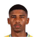 FC 26 Vitor Meer Face