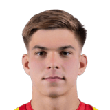 FC 26 Hubert Zwozny Face