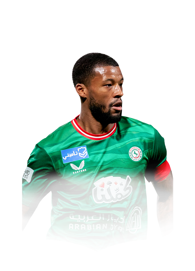 FC 26 Wijnaldum Face
