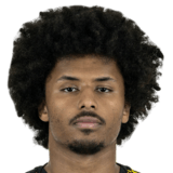 FC 27 Karim Adeyemi Face