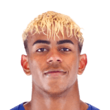 Player image