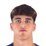 Player image