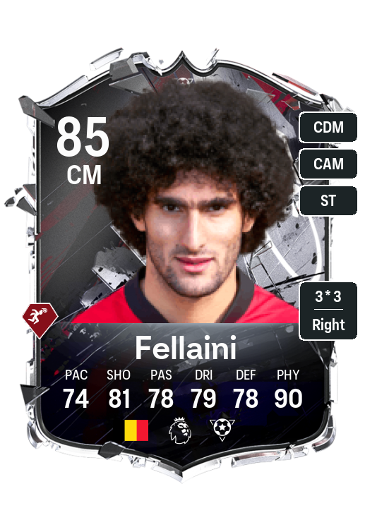Marouane Fellaini