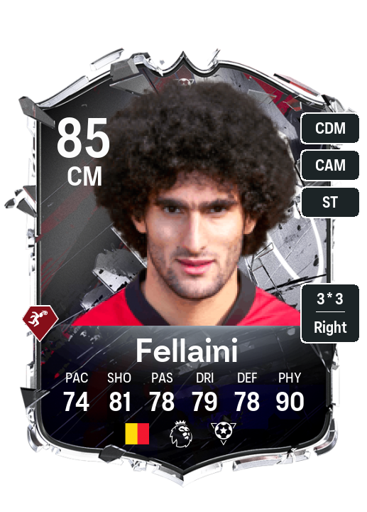 Marouane Fellaini
