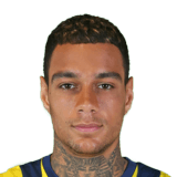 FIFA 18 Gregory van der Wiel Icon - 76 Rated