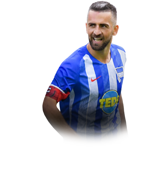 Ibisevic face