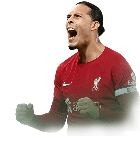 van Dijk face