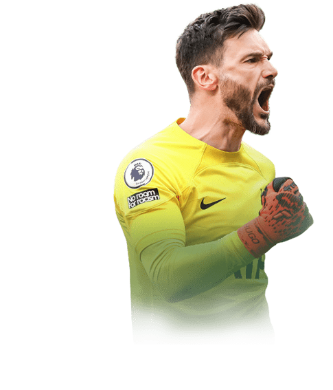 FIFA 21 Lloris Face