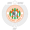 Zagłębie Lubin