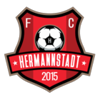 FC Hermannstadt
