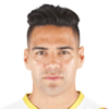 Falcao
