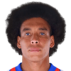 Axel Witsel