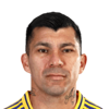 Gary Medel