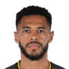 Andre Gray