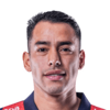 Sergio Araujo