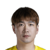 Zhao Honglue