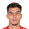Marco Dulca