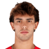 Joao Felix