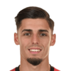 Ivan Franjic