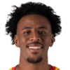 Morgan Guilavogui