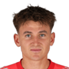 Nikolas Polster