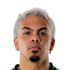 Dani Pereira