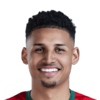 Felippe Cardoso